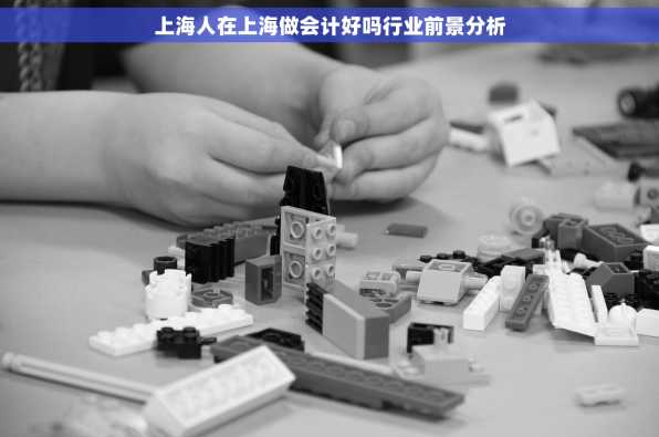 上海人在上海做会计好吗行业前景分析