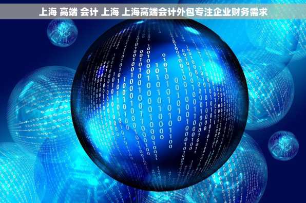 上海 高端 会计 上海 上海高端会计外包专注企业财务需求