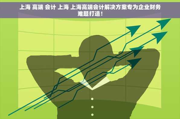 上海 高端 会计 上海 上海高端会计解决方案专为企业财务难题打造！