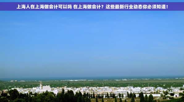 上海人在上海做会计可以吗 在上海做会计？这些最新行业动态你必须知道！