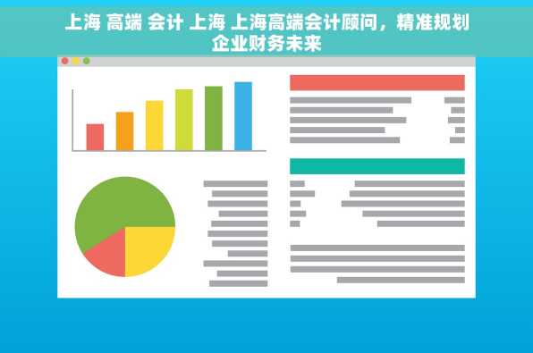 上海 高端 会计 上海 上海高端会计顾问，精准规划企业财务未来