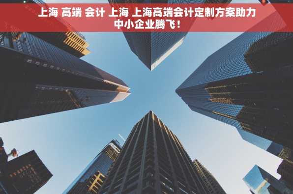 上海 高端 会计 上海 上海高端会计定制方案助力中小企业腾飞！