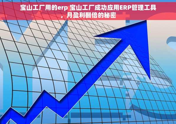 宝山工厂用的erp 宝山工厂成功应用ERP管理工具，月盈利翻倍的秘密
