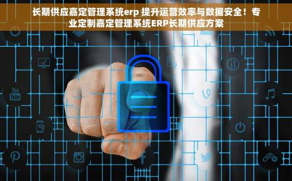 长期供应嘉定管理系统erp 提升运营效率与数据安全！专业定制嘉定管理系统ERP长期供应方案