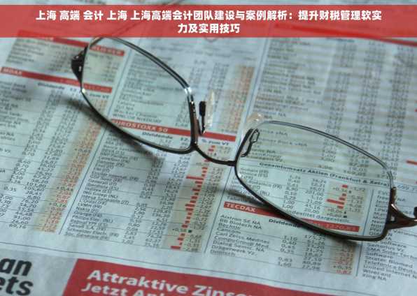 上海 高端 会计 上海 上海高端会计团队建设与案例解析：提升财税管理软实力及实用技巧