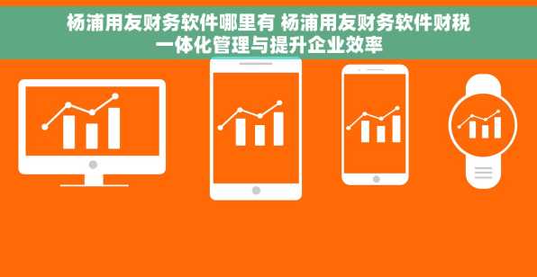 杨浦用友财务软件哪里有 杨浦用友财务软件财税一体化管理与提升企业效率
