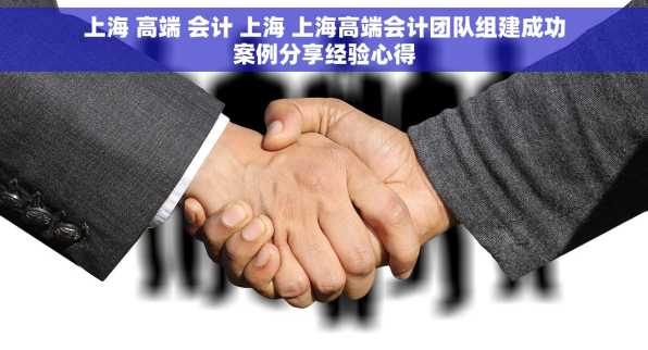 上海 高端 会计 上海 上海高端会计团队组建成功案例分享经验心得
