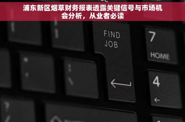 浦东新区烟草财务报表透露关键信号与市场机会分析，从业者必读