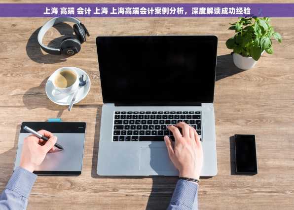 上海 高端 会计 上海 上海高端会计案例分析，深度解读成功经验
