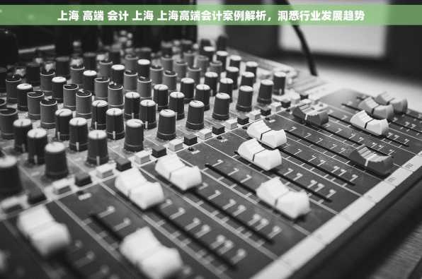 上海 高端 会计 上海 上海高端会计案例解析，洞悉行业发展趋势