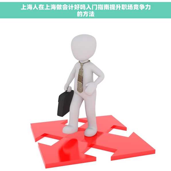 上海人在上海做会计好吗入门指南提升职场竞争力的方法