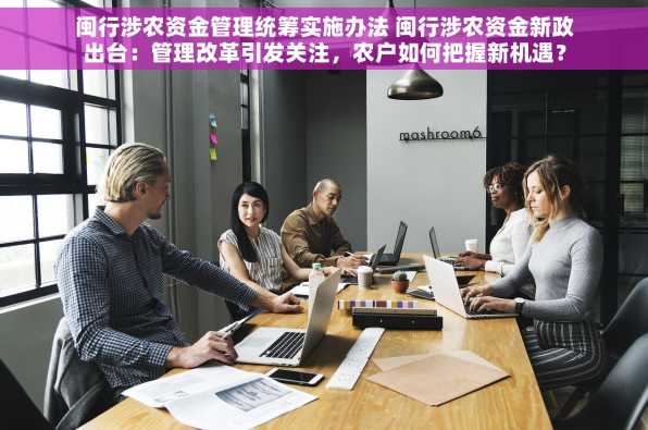 闽行涉农资金管理统筹实施办法 闽行涉农资金新政出台：管理改革引发关注，农户如何把握新机遇？