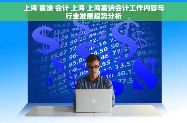 上海 高端 会计 上海 上海高端会计工作内容与行业发展趋势分析