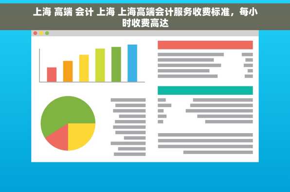 上海 高端 会计 上海 上海高端会计服务收费标准，每小时收费高达