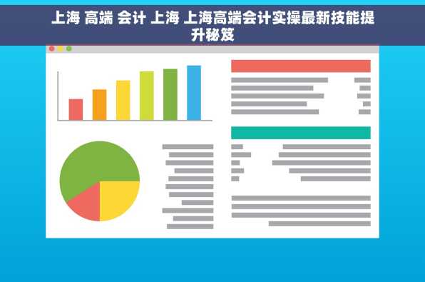 上海 高端 会计 上海 上海高端会计实操最新技能提升秘笈