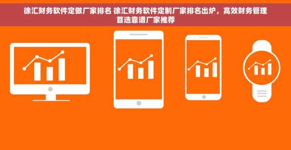 徐汇财务软件定做厂家排名 徐汇财务软件定制厂家排名出炉，高效财务管理首选靠谱厂家推荐