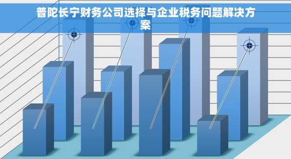 普陀长宁财务公司选择与企业税务问题解决方案