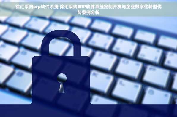徐汇采购erp软件系统 徐汇采购ERP软件系统定制开发与企业数字化转型优势案例分析
