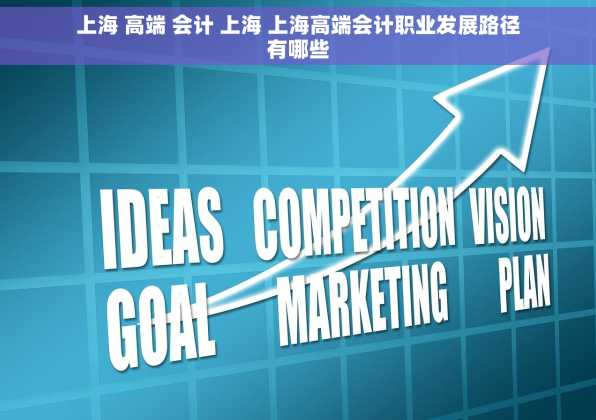 上海 高端 会计 上海 上海高端会计职业发展路径有哪些