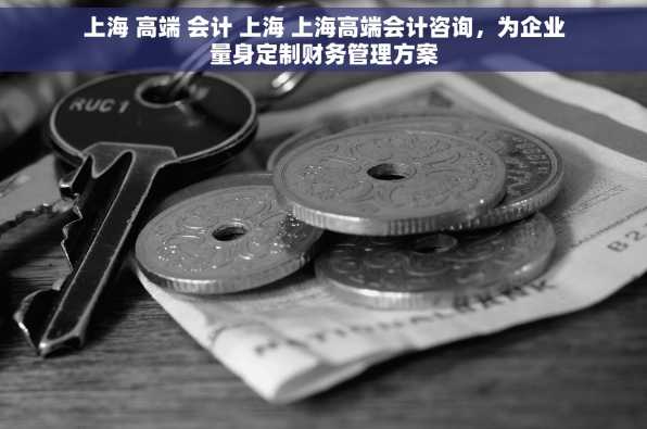 上海 高端 会计 上海 上海高端会计咨询，为企业量身定制财务管理方案