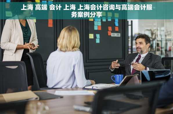 上海 高端 会计 上海 上海会计咨询与高端会计服务案例分享