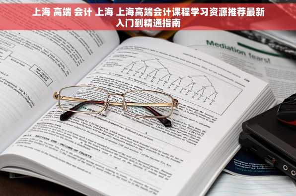 上海 高端 会计 上海 上海高端会计课程学习资源推荐最新入门到精通指南