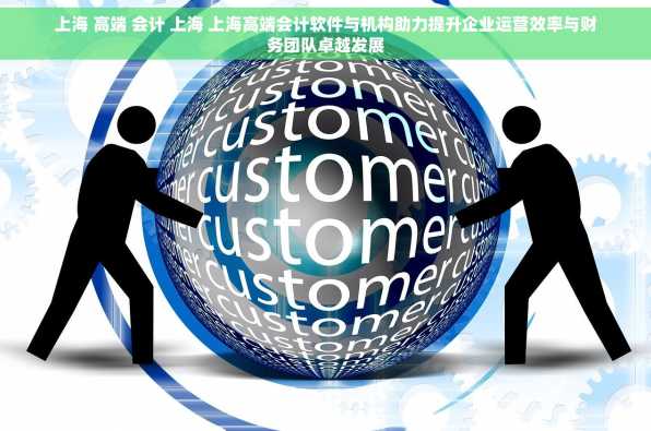 上海 高端 会计 上海 上海高端会计软件与机构助力提升企业运营效率与财务团队卓越发展