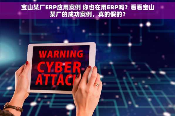宝山某厂ERP应用案例 你也在用ERP吗？看看宝山某厂的成功案例，真的假的？
