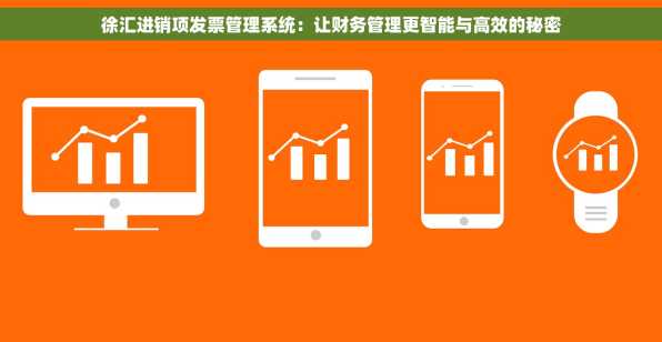 徐汇进销项发票管理系统：让财务管理更智能与高效的秘密