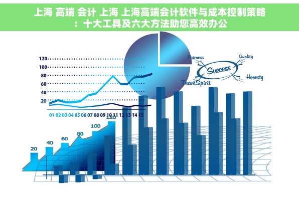 上海 高端 会计 上海 上海高端会计软件与成本控制策略：十大工具及六大方法助您高效办公