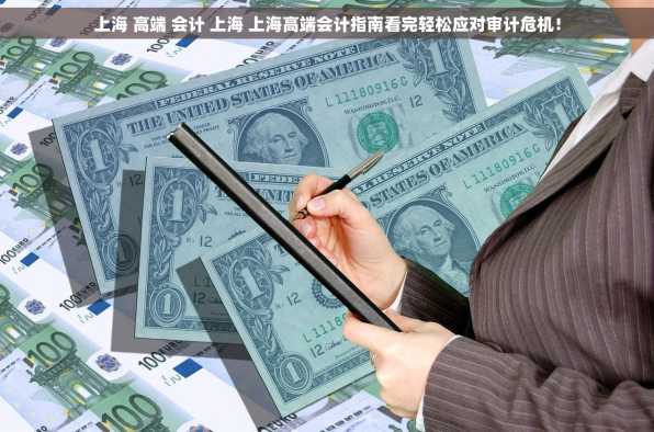 上海 高端 会计 上海 上海高端会计指南看完轻松应对审计危机！