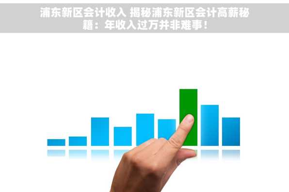 浦东新区会计收入 揭秘浦东新区会计高薪秘籍：年收入过万并非难事！