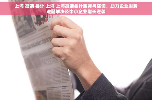 上海 高端 会计 上海 上海高端会计服务与咨询，助力企业财务难题解决及中小企业增长逆袭
