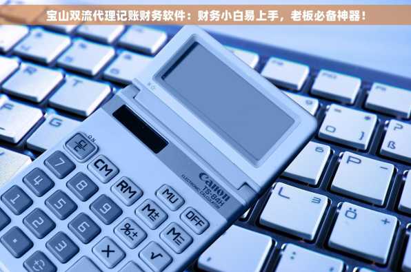 宝山双流代理记账财务软件：财务小白易上手，老板必备神器！