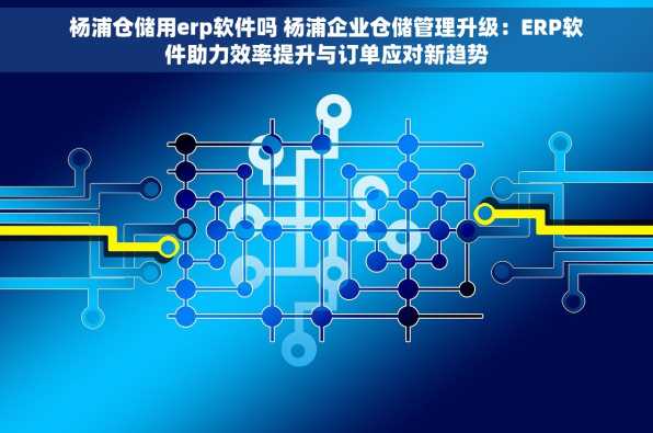 杨浦仓储用erp软件吗 杨浦企业仓储管理升级：ERP软件助力效率提升与订单应对新趋势