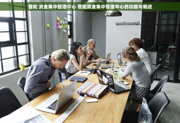 普陀 资金集中管理中心 普陀资金集中管理中心的功能与概述