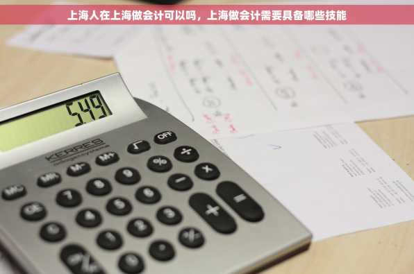 上海人在上海做会计可以吗，上海做会计需要具备哪些技能