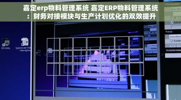 嘉定erp物料管理系统 嘉定ERP物料管理系统：财务对接模块与生产计划优化的双效提升