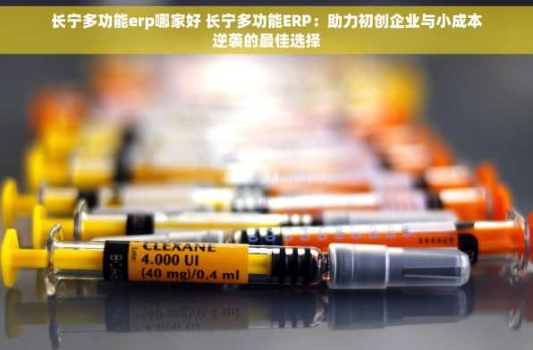 长宁多功能erp哪家好 长宁多功能ERP：助力初创企业与小成本逆袭的最佳选择