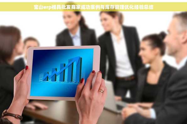 宝山erp模具批发商家成功案例与库存管理优化经验总结