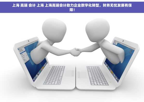 上海 高端 会计 上海 上海高端会计助力企业数字化转型，财务无忧发展有保障！