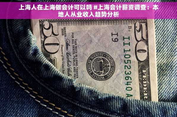 上海人在上海做会计可以吗 #上海会计薪资调查：本地人从业收入趋势分析