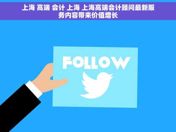 上海 高端 会计 上海 上海高端会计顾问最新服务内容带来价值增长