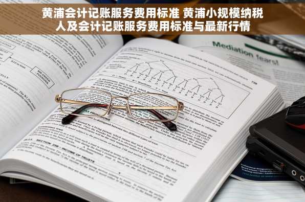 黄浦会计记账服务费用标准 黄浦小规模纳税人及会计记账服务费用标准与最新行情
