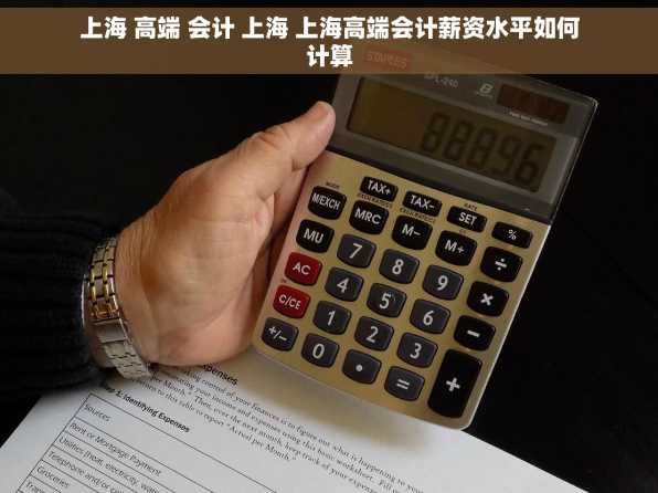 上海 高端 会计 上海 上海高端会计薪资水平如何计算