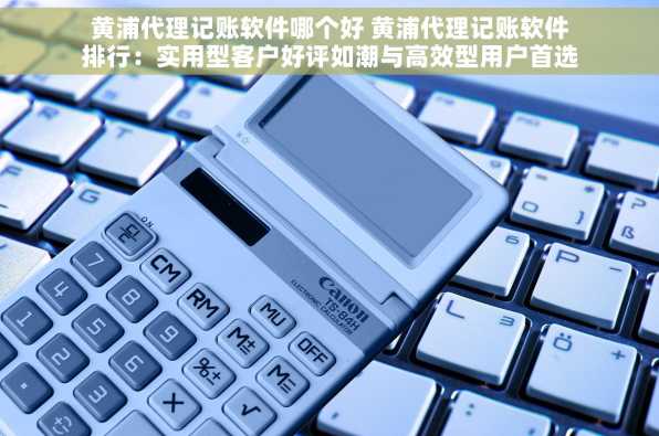 黄浦代理记账软件哪个好 黄浦代理记账软件排行：实用型客户好评如潮与高效型用户首选工具