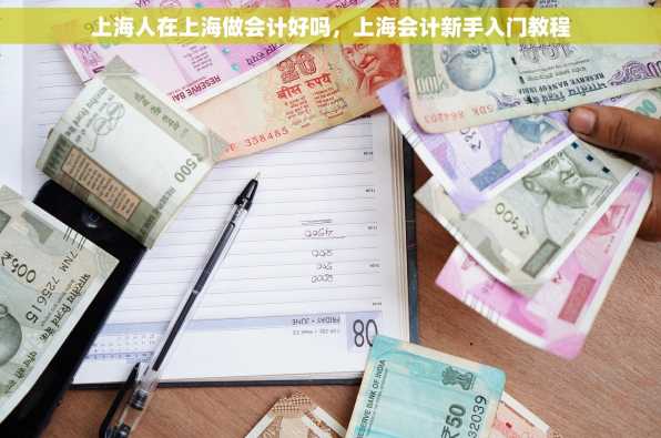 上海人在上海做会计好吗，上海会计新手入门教程
