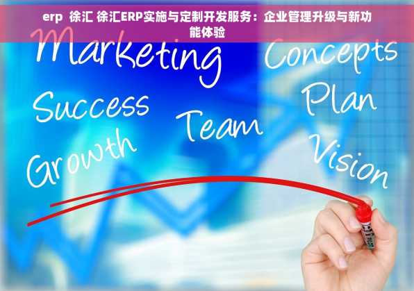 erp  徐汇 徐汇ERP实施与定制开发服务：企业管理升级与新功能体验