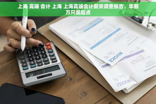 上海 高端 会计 上海 上海高端会计薪资调查报告，年薪万只是起点