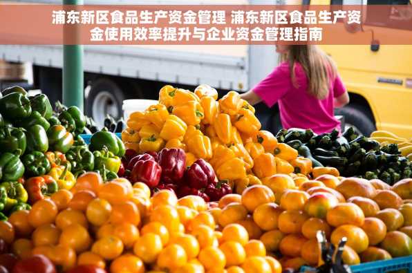 浦东新区食品生产资金管理 浦东新区食品生产资金使用效率提升与企业资金管理指南